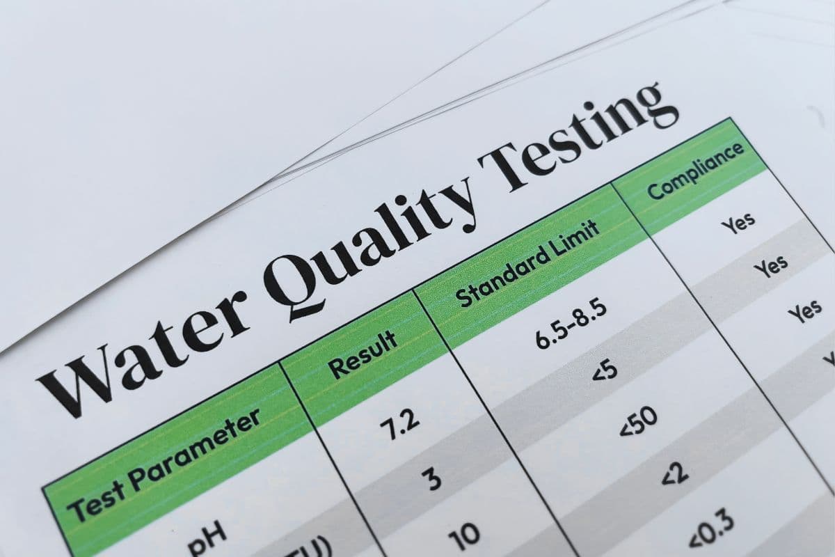 Glass of water being held up near a kitchen window with natural light